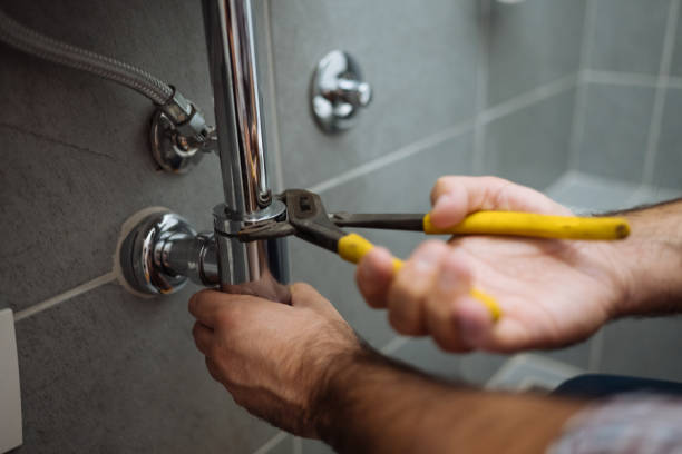 Best Commercial Plumbing Services  in Meadowbrook, CA